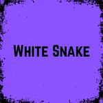 Whitesnake